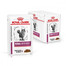 ROYAL CANIN Veterinary Diet Cat Renal Beef Pouch 12 x 85 g
