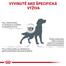 ROYAL CANIN Veterinary Health Nutrition Dog Skin Care Adult 2 kg