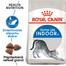 ROYAL CANIN Indoor 10kg + 2kg granule pre mačky žijúce vo vnútri