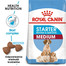 ROYAL CANIN Medium Starter Mother&Babydog 15 kg granule pre brezivé alebo dojčiace suky a šteniatka