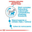 ROYAL CANIN Mini Starter Mother& Babydog 4 kg