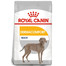 ROYAL CANIN Maxi Dermacomfort 12 kg