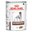 ROYAL CANIN Dog gastro intestinal 12 x 400 g