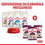ROYAL CANIN Sensory Feel Gravy 12x85 g
