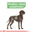 ROYAL CANIN Maxi Sterilised 12 kg pre psov s citlivým zažívacím traktom