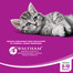 WHISKAS Junior s kuracím mäsom 14kg