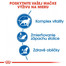 ROYAL CANIN Indoor 7+ 400g granule pre starnúce mačky žijúce vo vnútri