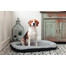 FERA Ponton Sky Pelech pre psa S 74 x 46 x 8 cm