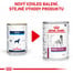 ROYAL CANIN Veterinary Diet Dog Renal Special Can 12 x 410 g