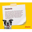 JOSERA Dog Festival 5 x 900g