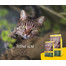 JOSERA Nature Cat 2 kg
