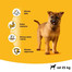 PEDIGREE Junior pre veľké plemená s kuracím mäsom a ryžou 15 kg