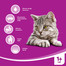 WHISKAS STERILE s kuracím mäsom 14kg