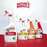 NATURE'S MIRACLE Stain&Odour Remover Cat 709 ml