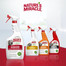 NATURE'S MIRACLE Stain&Odour Remover Dog melon 946 ml