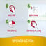 NATURE'S MIRACLE Urine Stain&Odour Remover Dog 946 ml