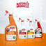 NATURE'S MIRACLE SET-IN OXY Stain&Odour Remover Dog 709 ml