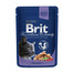 BRIT Premium Cat Adult s hovädzím 24 x 100 g