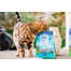 ZIWIPEAK Cat  Mackerel&Lamb  1 kg