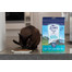 ZIWIPEAK Cat  Mackerel&Lamb  1 kg