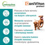 VETOQUINOL Caniviton protect 90 tbl pre psov veľkých a obrích plemien