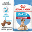 ROYAL CANIN Medium starter mother & babydog 1 kg granule pre brezivé alebo dojčiace suky a šteniatka.