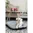 FERA Sky Pontoon pelech pre psov S 74 x 46 cm