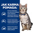 HILL'S Prescription Diet Feline c/d Urinary Stress + Metabolic 8 kg