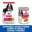 HILL'S Science Plan Adult Medium breed 14 kg s kuraťom