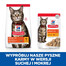 HILL'S Science Plan Feline Adult Chicken 10 kg