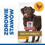 HILL'S Science Plan Canine Adult Healthy Mobility Large breed Chicken 14 kg
