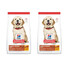 HILL'S Science Plan Puppy Large Breed Chicken 2x14,5 kg