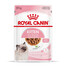 ROYAL CANIN Kitten Instinctive 24x85 g vlhké krmivo v omáčke pre mačiatka do 12 mesiacov