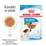 ROYAL CANIN Mini puppy 48x85 g