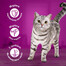 WHISKAS mokré kompletné krmivo pre dospelé mačky v omáčke 40x85 g