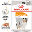 ROYAL CANIN Coat Care 48 x 85 g