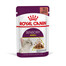 ROYAL CANIN Sensory Smell gravy 24x85 g kúsky v omáčke pre dospelé mačky na stimuláciu čuchu