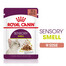 ROYAL CANIN Sensory Smell gravy 24x85 g kúsky v omáčke pre dospelé mačky, ktoré stimulujú čuchové vnemy