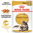 ROYAL CANIN Maine Coon 24x85 g