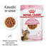 ROYAL CANIN Kitten Sterilised  24 x 85 g