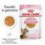 ROYAL CANIN Kitten Sterilised  24 x 85 g