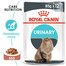ROYAL CANIN Urinary Care 48x85 g