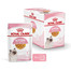 ROYAL CANIN Kitten Instinctive Jelly 12 x 85g kapsička pre mačiatka v želé