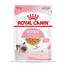 ROYAL CANIN Kitten Instinctive Jelly 12 x 85g kapsička pre mačiatka v želé