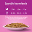 WHISKAS Adult 85g vrecúško krmiva pre dospelé mačky v omáčke s lososom