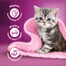 WHISKAS Junior klasické krmivo kuracie a hovädzie mäso v omáčke 4x85g