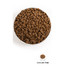 ACANA Puppy & junior dog 17 kg
