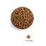 ACANA Puppy large breed 11.4 kg
