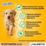 PEDIGREE Pedigree Junior v želé 48x100g