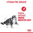 ROYAL CANIN Urinary Care kapsičky v šťave pre dospelé mačky na podporu zdravia močových ciest 12 x 85g